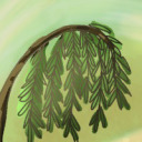 sunfiltersthroughwillowleaves avatar