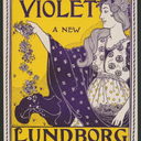 sunflower-avenue avatar