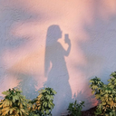 sunflower-delicacy avatar