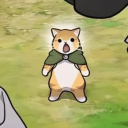 sunflower-goose avatar