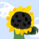 sunflower-hospital avatar