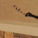 sunflower-sarrow avatar