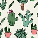 sunflower-sivan avatar