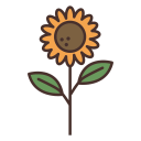 sunflower-smiles avatar