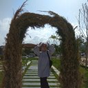 sunflower1283 avatar