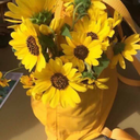 sunflower301-blog avatar