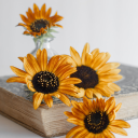 sunflowerbindery avatar