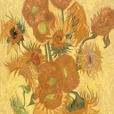 sunflowerbloomss avatar