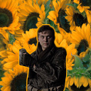 sunflowerchuck avatar