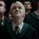 sunflowerfycs avatar