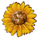 sunflowergem avatar
