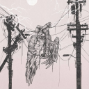 sunflowerjamespotter avatar