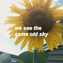 sunflowerkinnies avatar