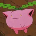 sunflowerlune avatar