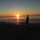 sunflowermxdness avatar