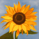 sunflowerpriestess avatar