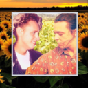 sunflowerroland avatar