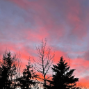 sunflowerrsouul avatar