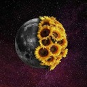 sunflowers-28 avatar