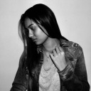 sunflowers-inside avatar