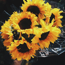 sunflowers-n-moonshine avatar