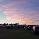 sunflowers-of-stars avatar