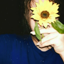 sunflowersaroundthehouse avatar