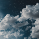 sunflowerselfships avatar