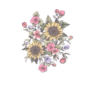 sunflowersigh avatar