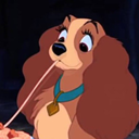 sunflowerwalker-blog avatar