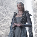 sunglassesonkittens avatar