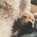 sunkissed-days-blog1 avatar