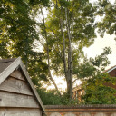 sunkissedelio avatar