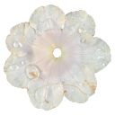 sunkissedsunday avatar