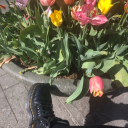 sunkissedteen avatar