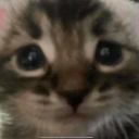 sunkistconsumer avatar