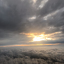 sunless-garden avatar