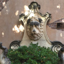 sunlight-beauty avatar