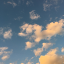 sunlightinthemorning avatar