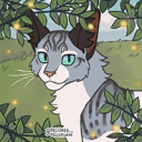 sunlit-skycat avatar