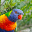 sunloversstuff avatar