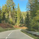 sunmoonandarrows avatar