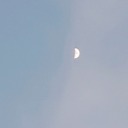 sunmoonandrainbows avatar