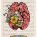 sunnie-daisies avatar