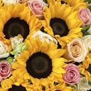 sunnie-in-a-bottle avatar