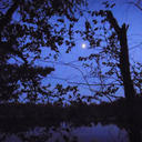 sunny-is-kinda-gay avatar