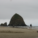 sunny-june-ridge avatar