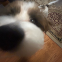 sunny-s1de-upp avatar