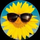 sunny-sunflower05 avatar