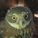 sunnybaker123 avatar